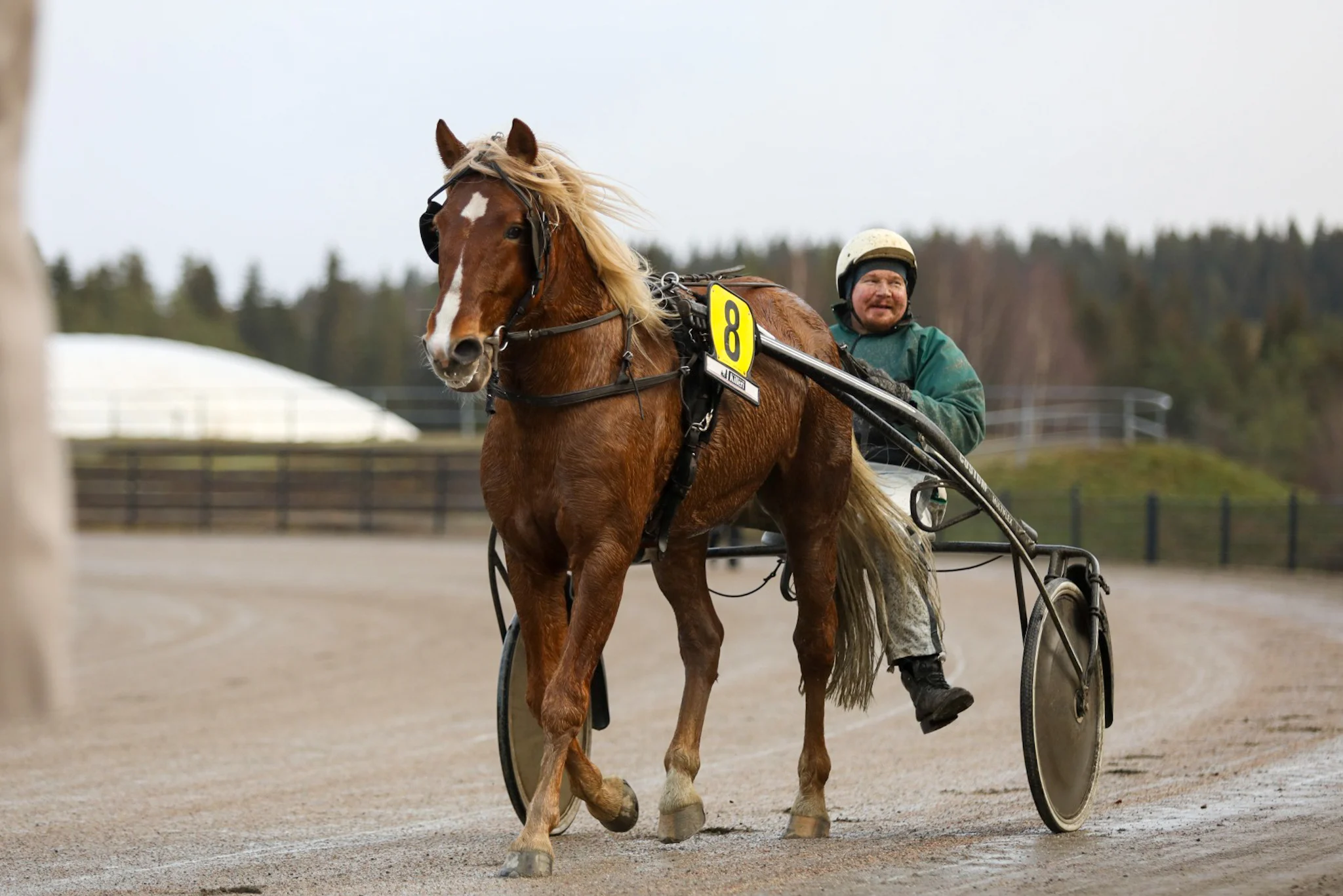 Heikki Hoffren ei ole vielä Lipassin kanssa kokenut tappiota.