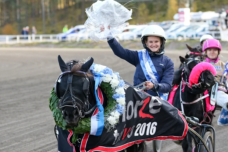 Poniraviurheilu on astinlauta raviurheilun maailmaan.