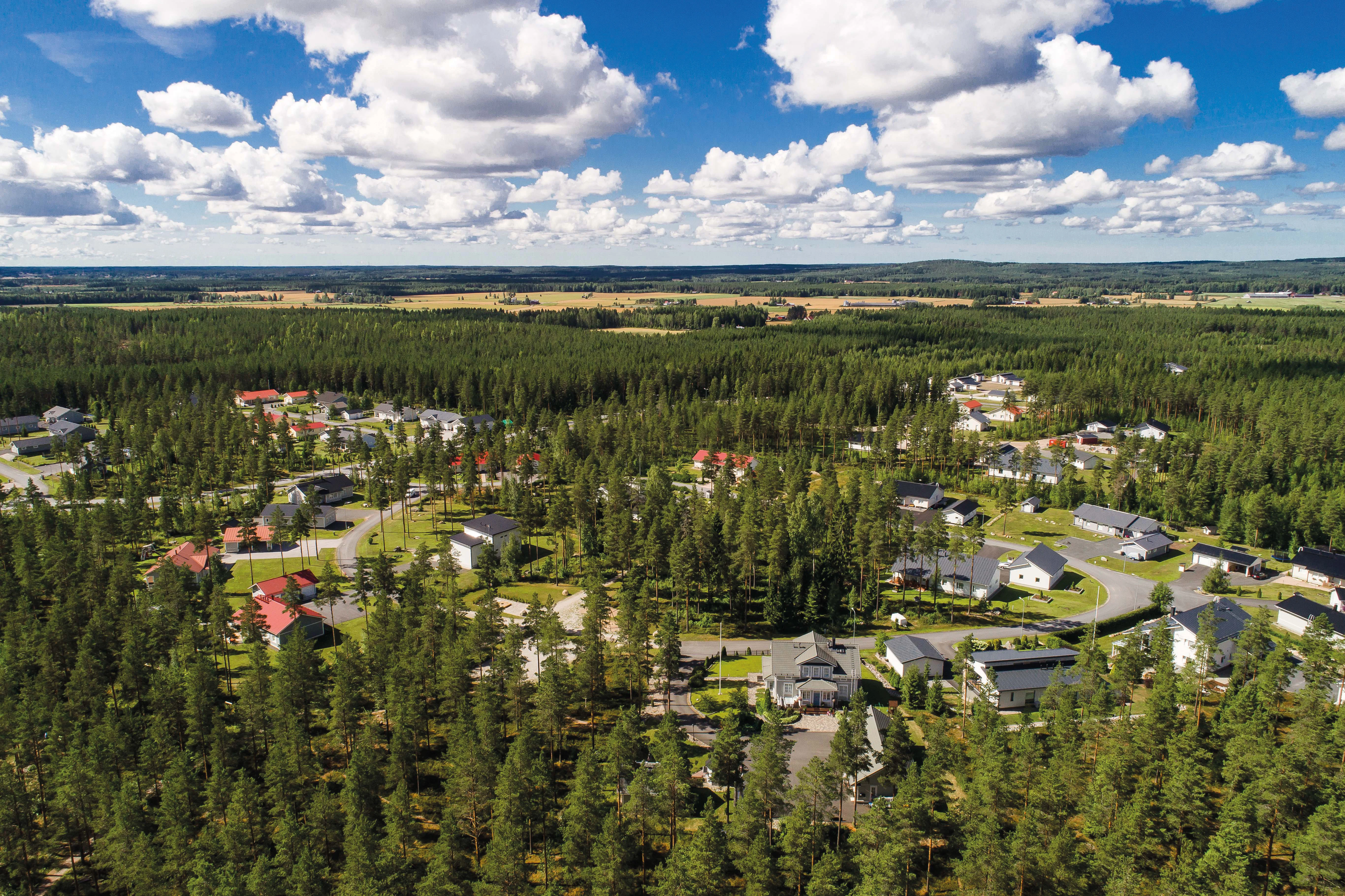 Esimerkiksi halutulta Riuhdankallion alueelta on myynnissä 10 tonttia.
