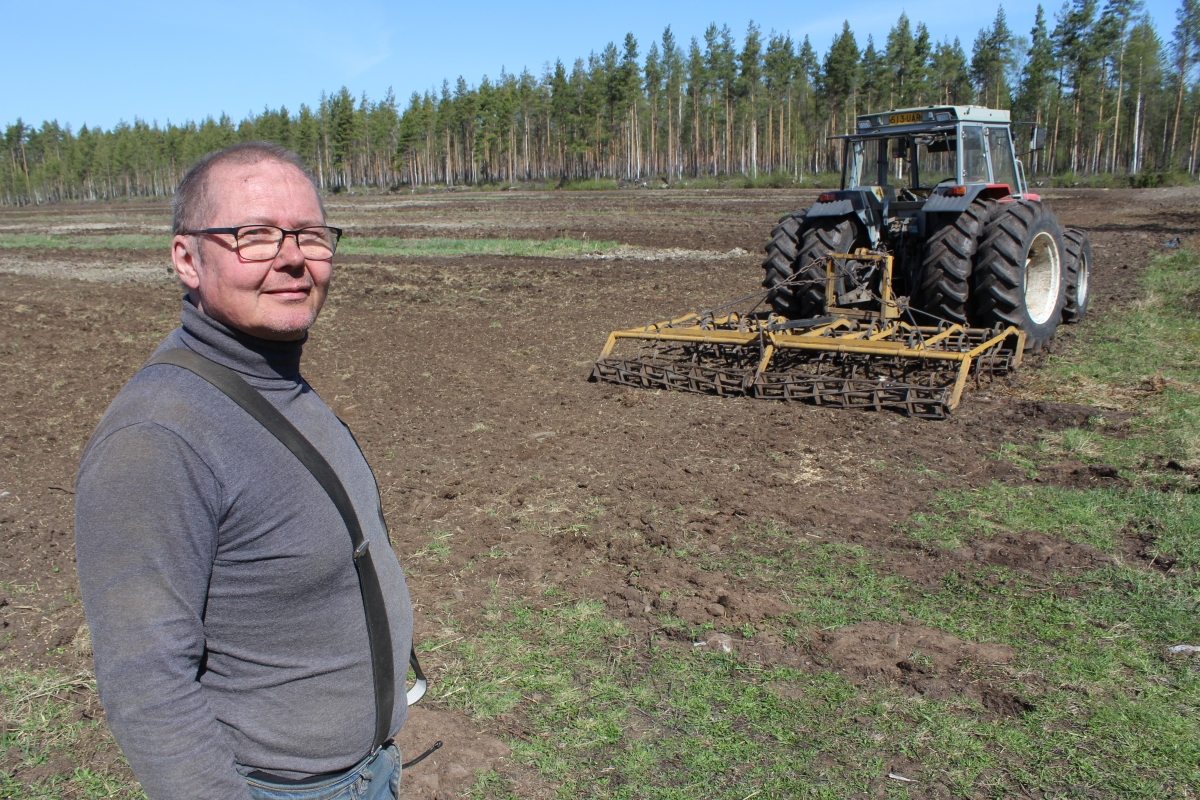 Tämän pellon tulevan sadon korjaavat syyskesällä hirvieläimet, tietää Markus Salo.