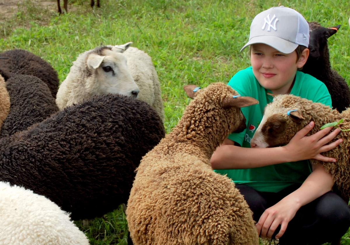 Alavuden 4H:n ruokakoulussa tutustuttiin lähiruokaan, liikuttiin yhdessä ja halailtiin lampaita
