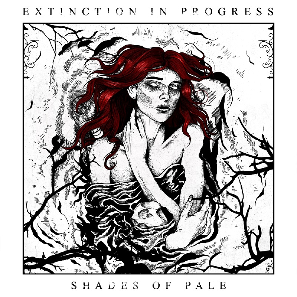 Shades of Pale -albumin kansikuvan on suunnitellut 
Juha-Matti Järvenpää.