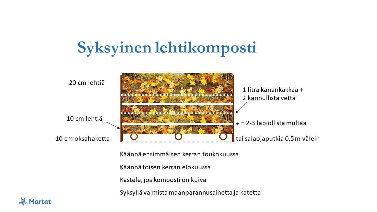 Tiedätkö, miksi nurmikko kannattaa pitää lyhyenä myös syksyllä? Puutarhuri kertoo ja antaa vinkit syyspuutarhan hoitoon