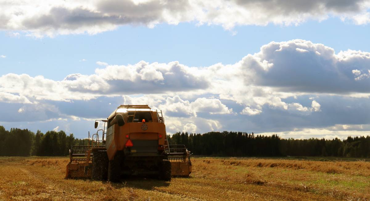 Kauhava oli maataloustuloillaan Suomen toiseksi suurin kunta – 