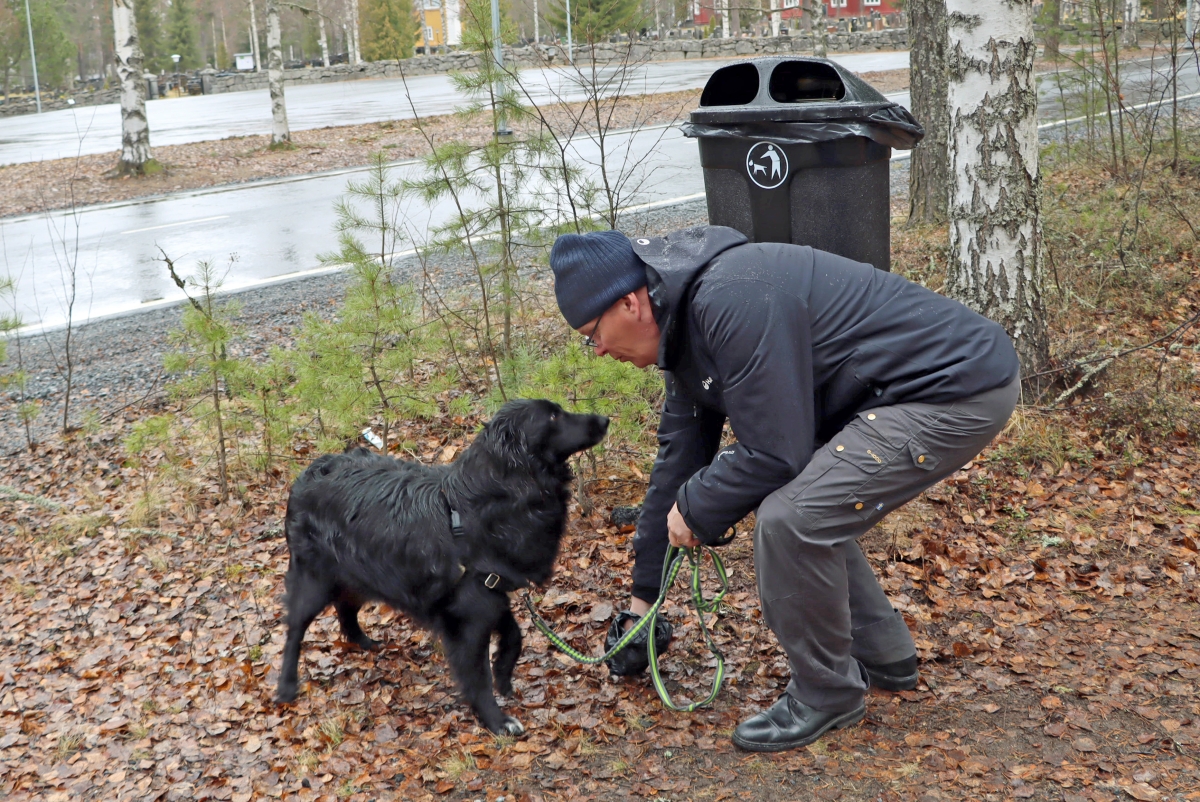 Kuortaneen kunnan ympäristöpäällikkö havainnollistaa, kuinka pienellä vaivalla koirankakat saa poimittua roskikseen. Virallisena valvojana tilanteessa toimii Kotolan perheen Riley-koira.