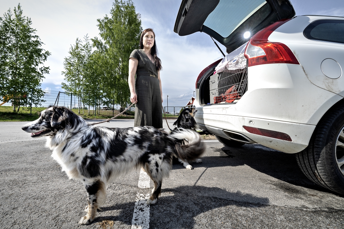 Seinäjoen eläinsairaalan johtaja Elli Tuominen kertoo, että koira voi saada pysyviä vaurioita, jos sen ruumiinlämpö nousee liian korkeaksi. 