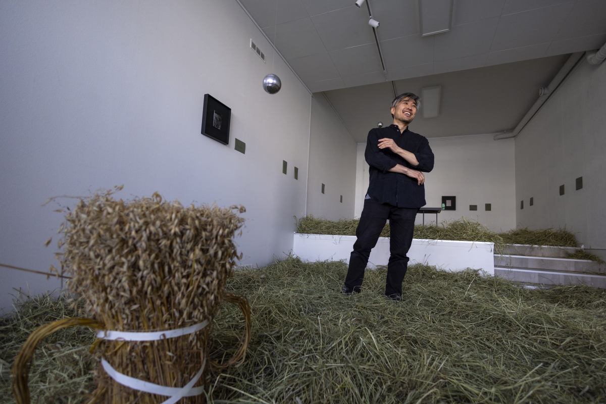Taiteilija Shoji Kato on täyttänyt Maker's Galleryn heinällä. Vasemmassa alareunassa näkyy kauralyhde, joka oli yksi ehdotus Vaasan vaakunan symboliksi. Näyttelyssä on myös vaakunaan lopulta päätynyt viljalyhde. 