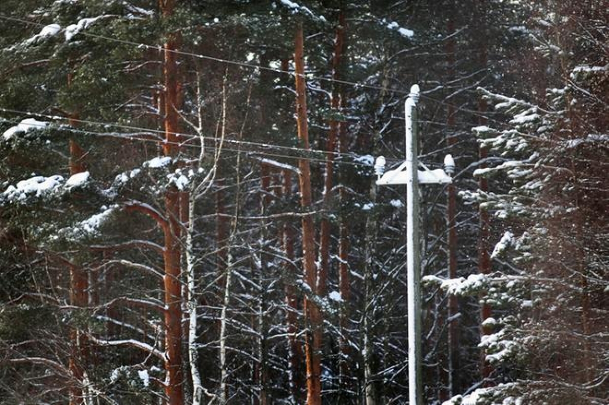 Vaasan Sähkö kaivaa 160 kilometriä kaapelia maahan – Viikonlopun lumimyräkkä voi taas kaataa puita linjoille