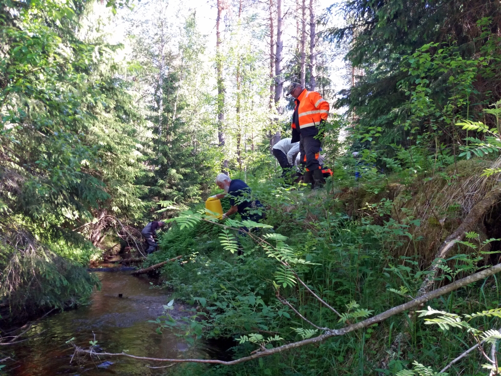 Freshabit-seminaarin päätteeksi osa väestä suuntasi Isojoen Riitaluomalla puronkunnostustalkoisiin.