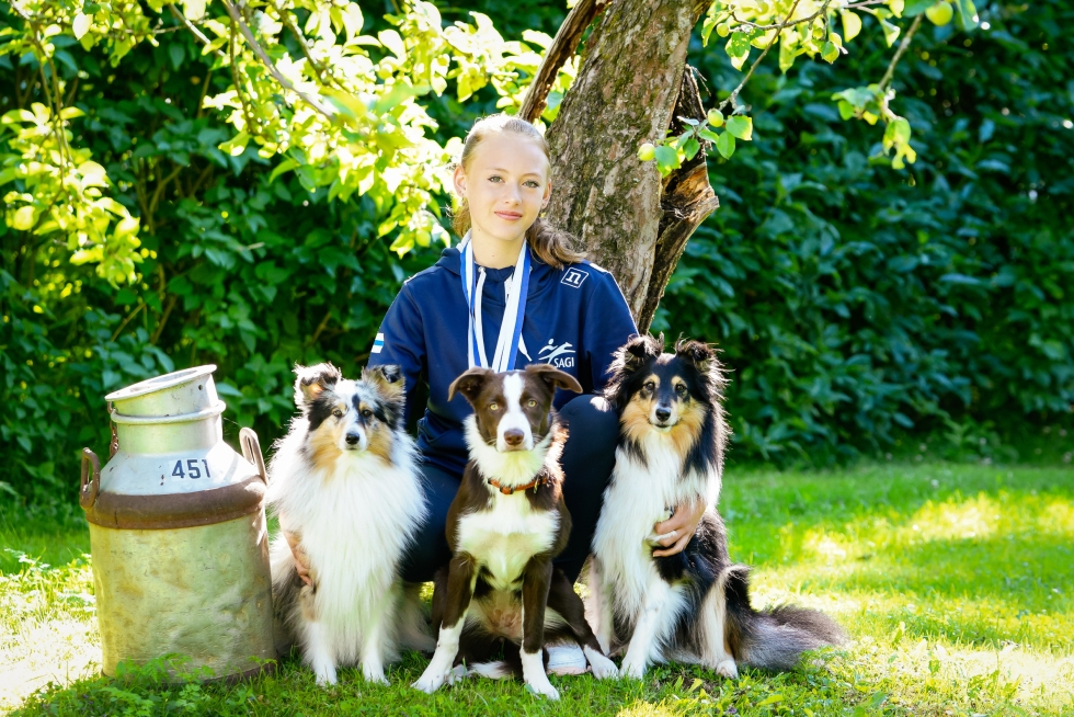Iris Niemistö yhdessä koiriensa Merlen, Murun ja Alman kanssa. Merlen ja Alman kanssa Niemistö on jo kisannut, kuuden kuukauden ikäinen Muru pääsee sallittuun 1,5 vuoden kilpailuikään reilun vuoden päästä.