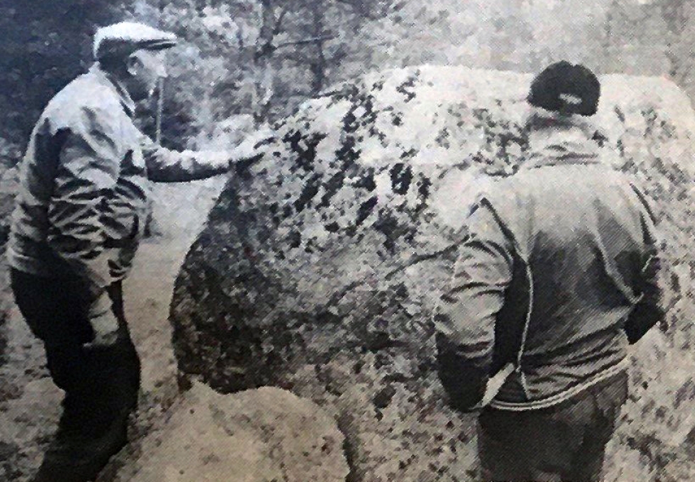 Vuoden 1982 Jurvan Sanomissa Aale Ketonen ja Vesa Mäntylä tutkivat Rauhasaaressa kiveä, johon on kaiverrettu vuosiluku 1808.