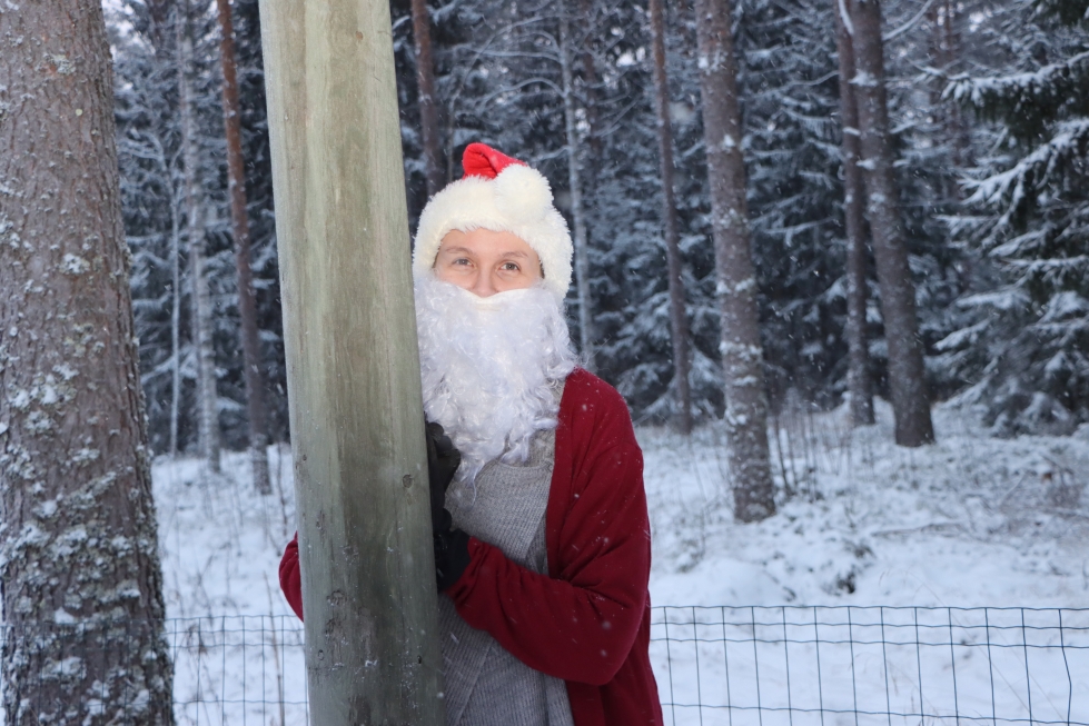 Jurvan Sanomien naamioima joulupukki nauttii luonnon läheisyydestä. 