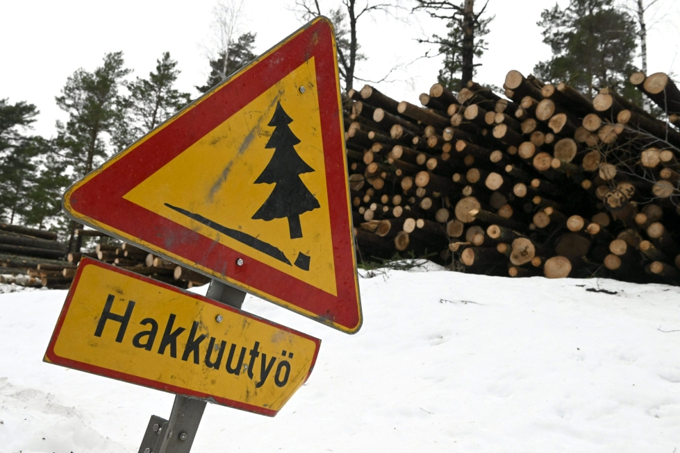 Kysymys metsähakkuiden rajoittamisesta jakaa tutkimukseen vastanneita suomalaisia voimakkaasti. LEHTIKUVA / Jussi Nukari