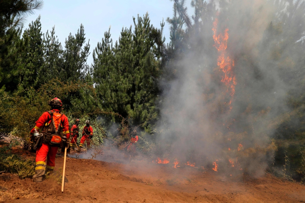 Tulipaloja on sammuttamassa noin 5 600 pelastajaa, joista suurin osa on vapaaehtoisia. LEHTIKUVA/AFP