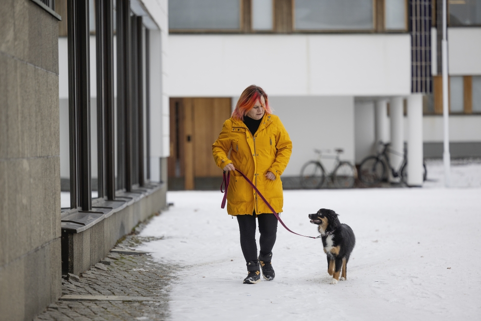 Ilmajokelainen Mia Jousmäki ymmärtää koirien rekisteröinnin tärkeyden, mutta rinnakkaisten rekisteröintien järkevyyden hän kyseenalaistaa. Kahdeksan kuukauden ikäinen pieniamerikanpaimenkoira Piki on sirutettu heti pentuna kasvattajalla.