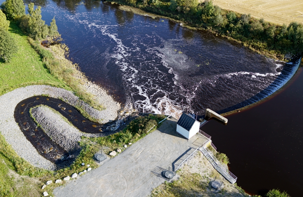Etelä-Pohjanmaan ely-keskus paransi tulvasuojelurakenteita monella tapaa viime vuonna. Sen lisäksi se rakennutti kalatien Poutun padon yhteyteen Lapualla. Sen kustannukset olivat 200 000 euroa.