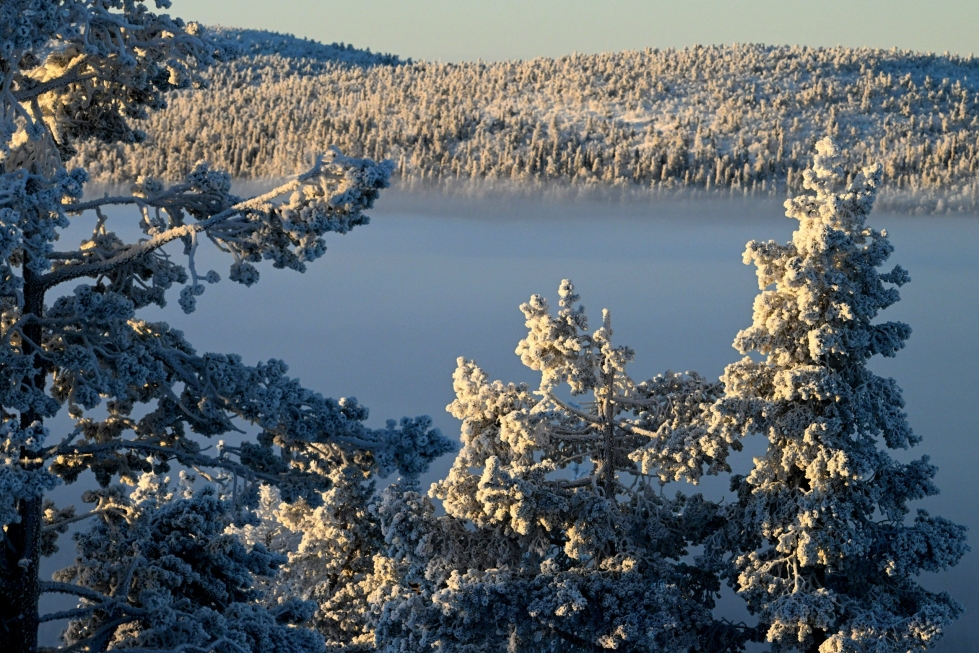 Talvinen maisema Kittilässä 20. marraskuuta 2022. LEHTIKUVA / JUSSI NUKAR