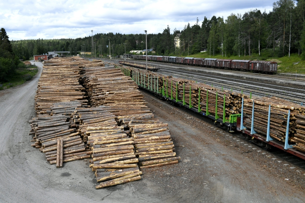 Arkistokuvassa tukkikuorma junassa ja varastossa Haapamäen asemalla Keuruulla. LEHTIKUVA / Markku Kainulainen