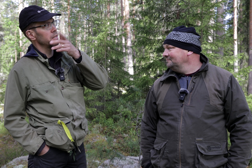 Metsäneuvojat Marko Nisula ja Petri Tuomisto valmistautuvat puuston mittauksiin yhdessä lukuisista tulevista puukarttakoealoista. Puiden paksuus esimerkiksi mitataan millimetrin tarkkuudella.