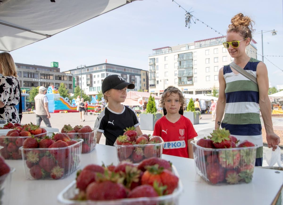 Matias ja Niklas Nyholm sekä äiti Maija Alamäki olivat keskiviikkona kesän ensimmäisillä marjaostoksilla. Poikien suosikkimarja on mansikka.
