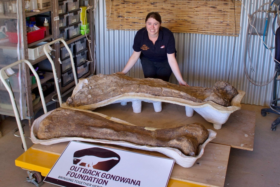 Syrjäisestä Australiasta löytyneiden luiden arvoitus on viimein selvinnyt: kyse on uudesta dinosaurus-lajista, ja vieläpä yhdestä suurimmista, joka on koskaan Maan päällä kulkenut. LEHTIKUVA/AFP