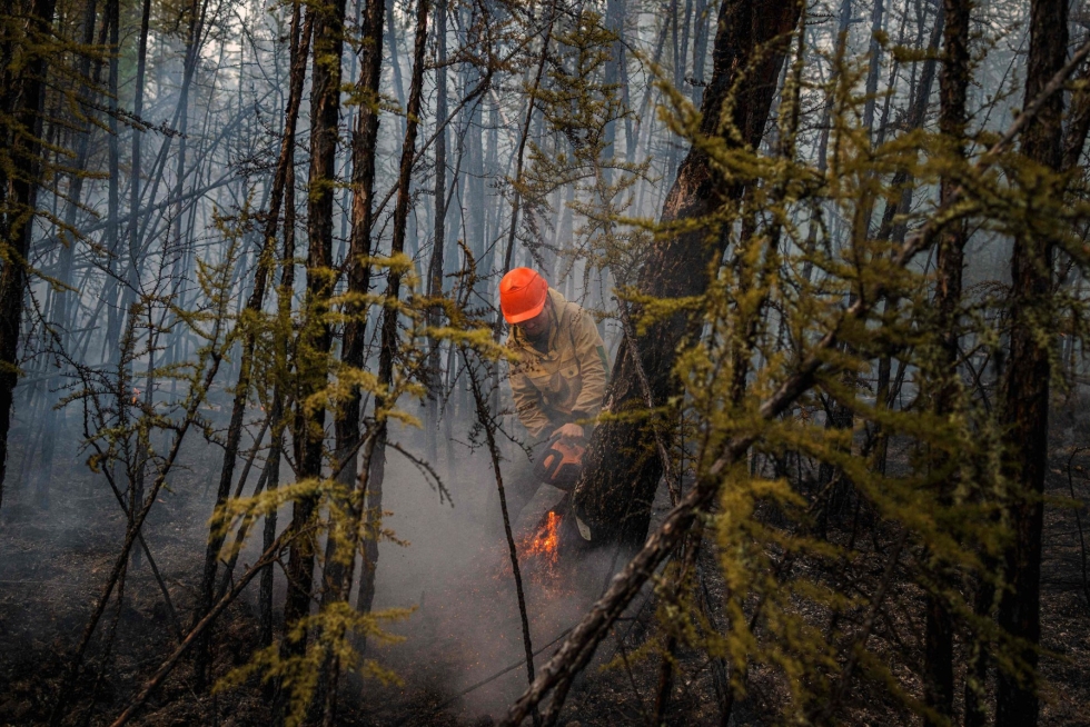 Jakutian eli Sahan tasavallan soisella ja havuisella taigalla on ollut tänä kesänä tulessa noin 1,5 miljoonaan hehtaarin kokoinen alue.  Sammutustöitä kuvattiin Bjas-Kjujolin kylän lähettyvillä. LEHTIKUVA / AFP