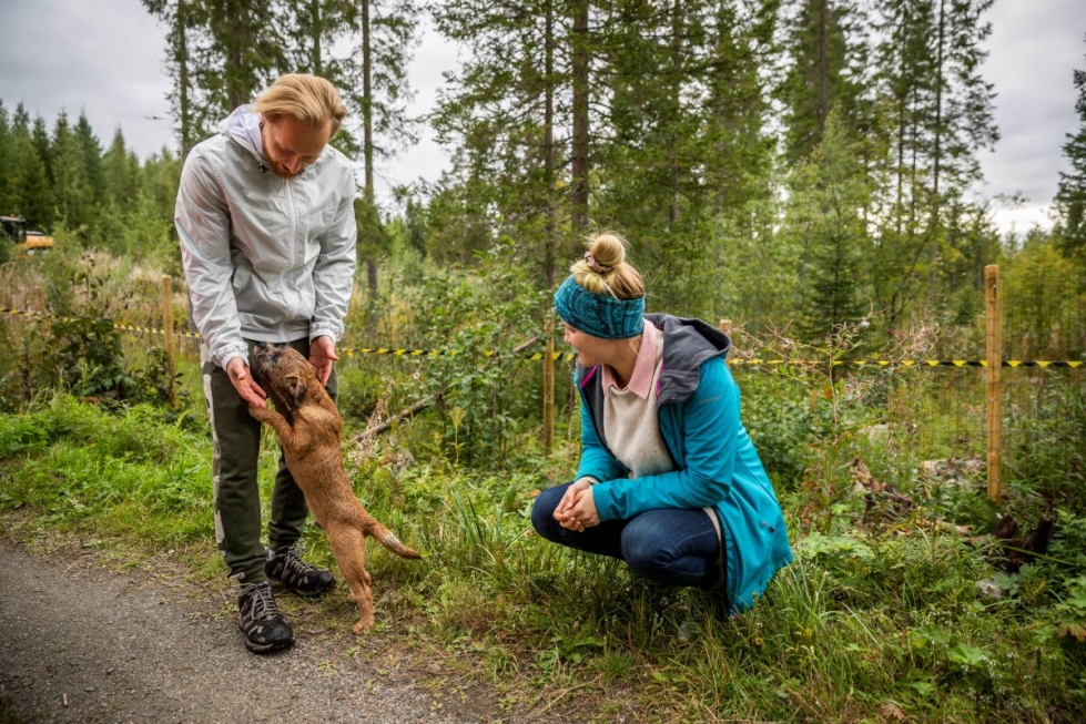 Koiranpuron yrittäjät Matti Lindholm ja Essi Marttila saivat idean koirametsästä, kun he tarvitsivat omille koirilleen paikan, jossa voi juosta vapaasti. Kuvassa Lindholmia vasten hyppii koirametsän vakikävijän Hanna Ripatin nelikuinen Karpo-pentu.