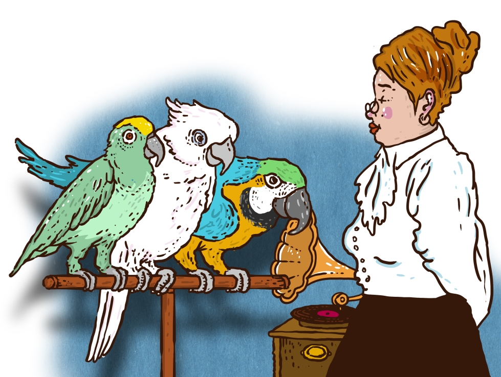 Nainen Philadelphiassa keksi vuonna 1904, että papukaijojen opettaminen puhumaan on oivallinen liikeidea.