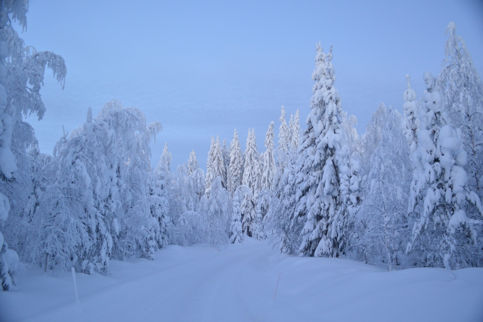 Kauniit talvimaisemat ovat ihastuttaneet viime viikkoina Pohjois-Karjalassa.