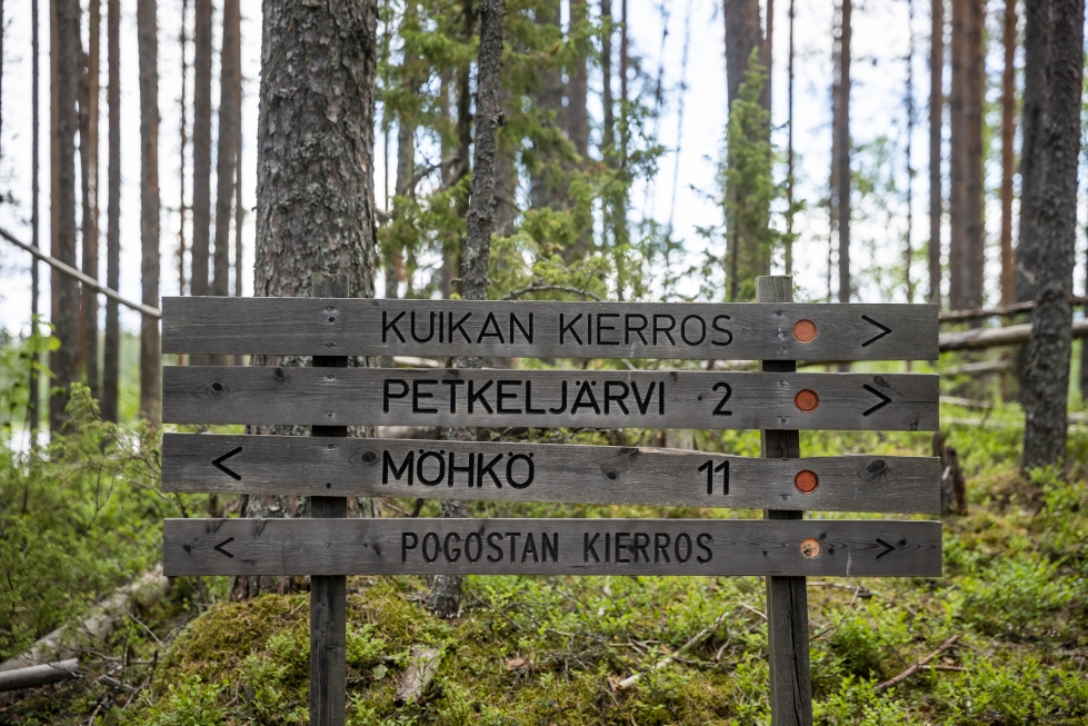 Kuikan kierros on Petkeljärven kansallispuiston suosituin reitti.