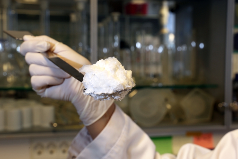 Kananmunaa ilman kanaa? Kuvassa on valkuaisproteiinia, joka on tuotettu bioteknisin menetelmin VTT:n laboratoriossa.