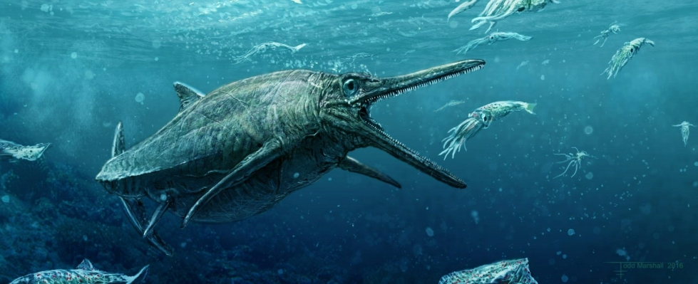 Taiteilija Todd Marshallin näkemys muinaisesta iktyosauruksesta. LEHTIKUVA/AFP/Edinburghin yliopisto
