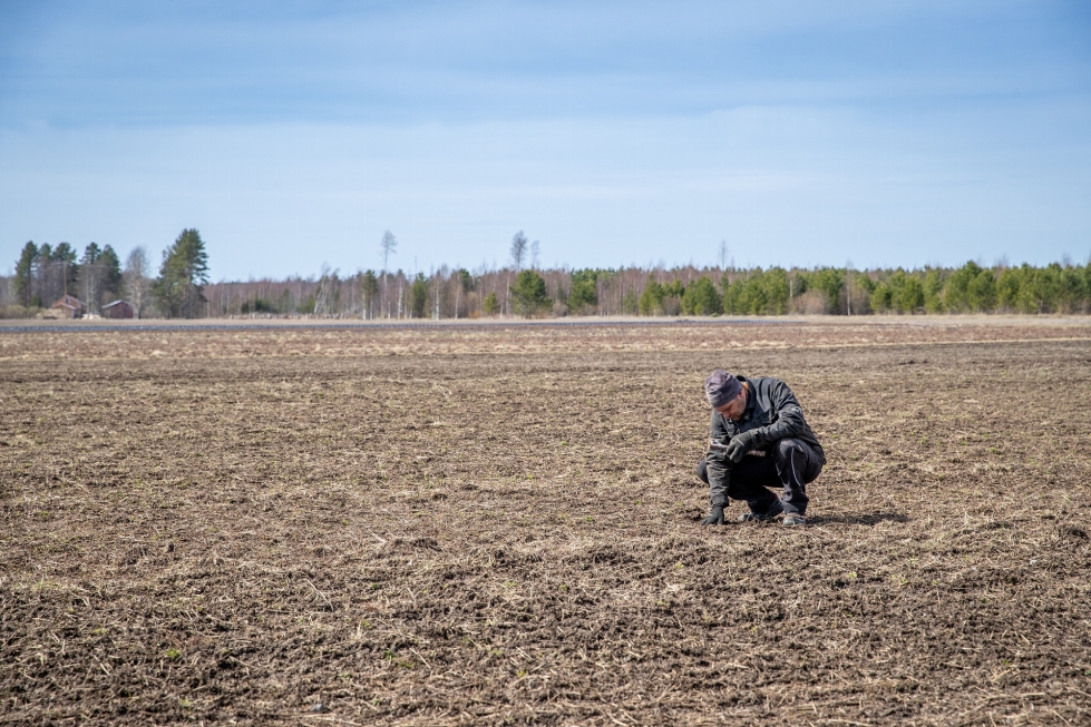 Niittykummun maatilalla ei ole päästy vielä pelloille. Hermanni Nieminen kertoo, että parhaina vuosina työt on päästy aloittamaan huhtikuulla.