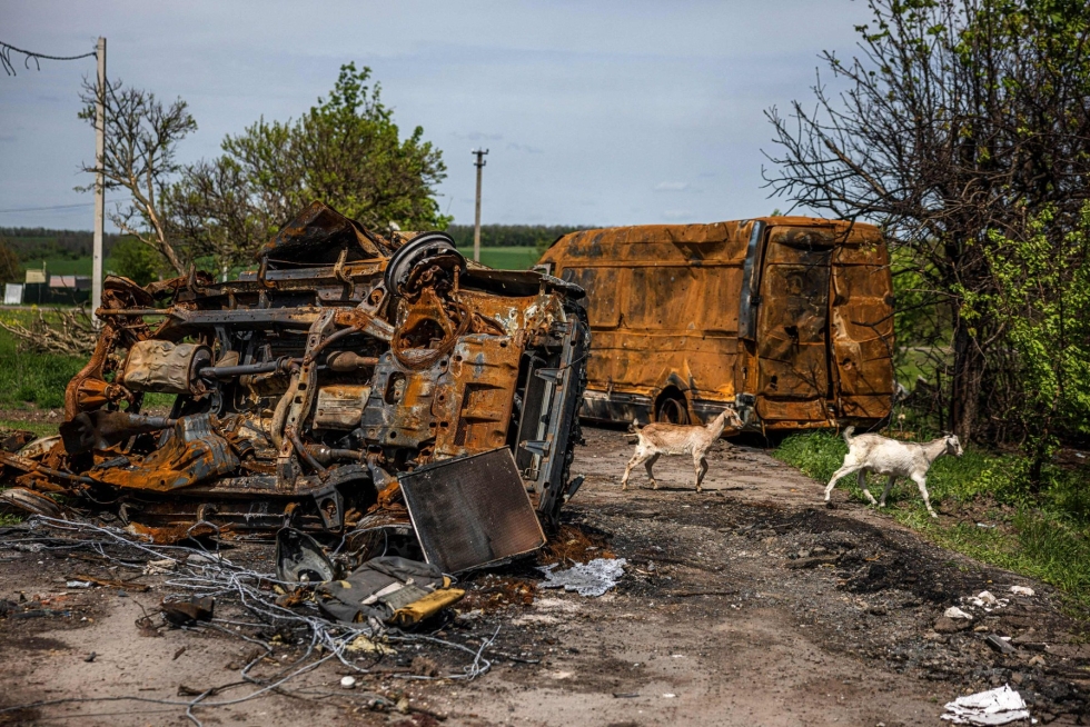 Venäjän hyökkäys Ukrainaan on kestänyt jo 79 päivää. Poltetut ajoneuvot on kuvattu perjantaina kylässä lähellä itäistä Harkovan suurkaupunkia. LEHTIKUVA / AFP