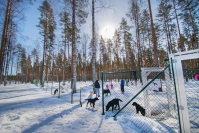 Paljon toivottu koirapuisto toteutuu Ilomantsissa viimeinkin ehkä ensi vuonna
