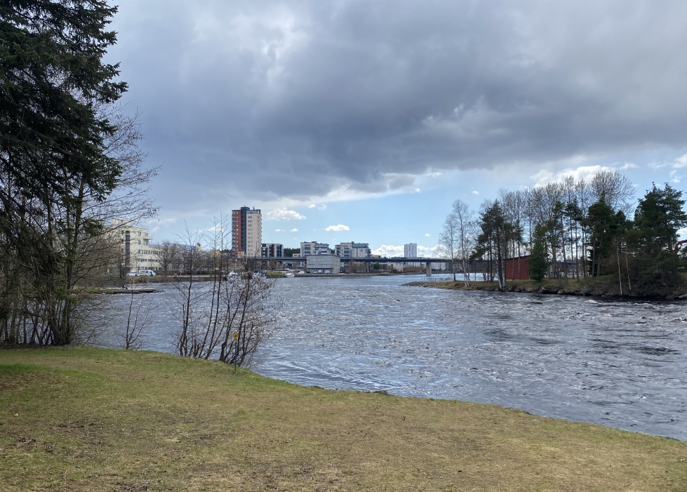 Näkymä Pielisjoen rannalta Joensuusta 13. toukokuuta.