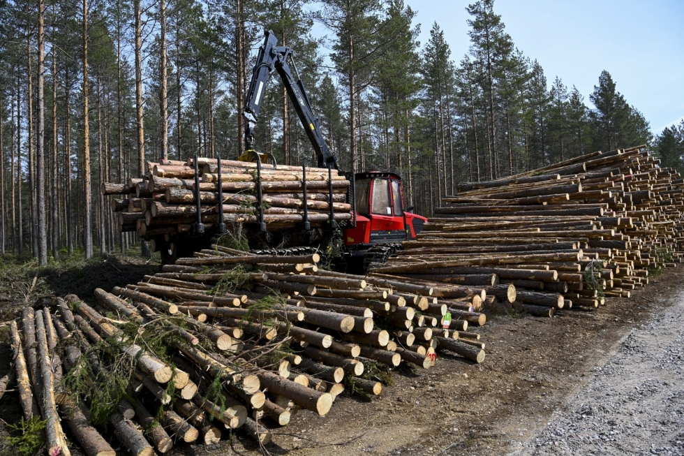 MTK uskoo puuta löytyvän kotimaasta paikkaamaan Venäjä-vajetta. LEHTIKUVA / Markku Ulander
