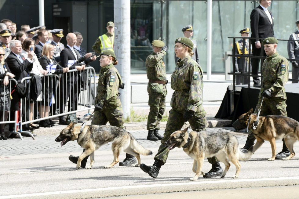 Koirat marssivat ryhdikkäästi mukana lippujuhlapäivän paraatissa Helsingin Mannerheimintiellä. LEHTIKUVA / ANNI AGREN