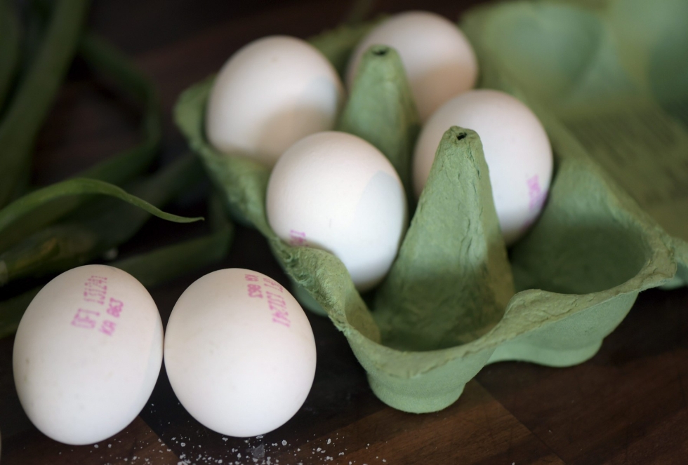 Muun muassa kananmunat ovat kallistuneet huomattavasti sekä Suomessa että Ruotsissa. Lehtikuva / Jussi Nukari