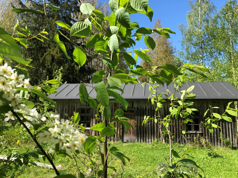 Ahmovaarassa sijaitseva Tuomelan tupa on lauantaina avoinna vierailijoille osana Avoimet kylät -päivää. 