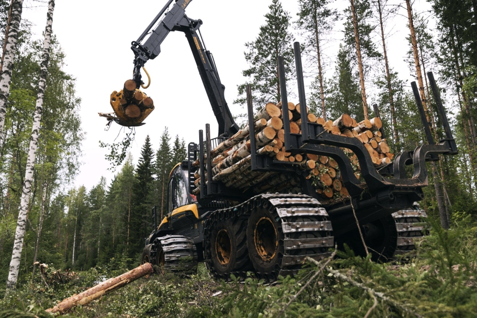 Metsäkone siirtää kaadettuja puita Kakonsalossa Sulkavalla 12. elokuuta 2021. LEHTIKUVA / RONI REKOMAA