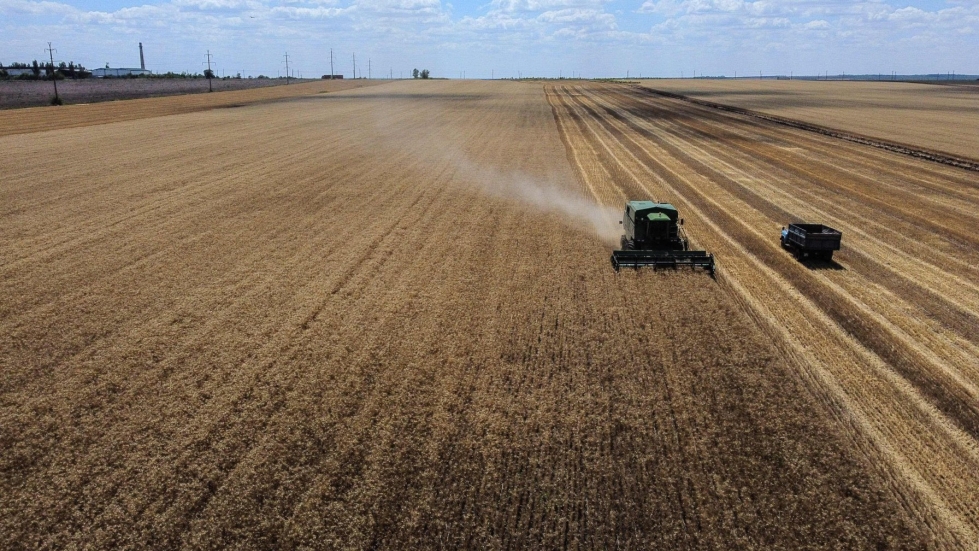 Ukraina kuuluu maailman tärkeimpiin viljanviejiin. LEHTIKUVA/AFP