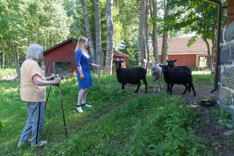 Ikäihmisten perhekodissa Metka paapolassa Viinijärvellä on muun muassa lampaita. Asukas Ritva Kuittinen ja yrittäjä Aino Palovesi houkuttelevat ne tervehtimään vieraita.