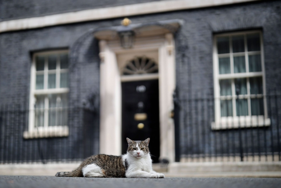 Larry on valvonut Downing Streetin menoa jo kolmen konservatiivipääministerin aikana. LEHTIKUVA/AFP