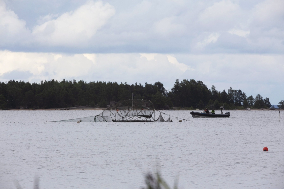 Kuvassa Kotkassa rysä, johon mursun havaittiin sunnuntaina uineen, sekä merivartioston vene. LEHTIKUVA / SASU MÄKINEN