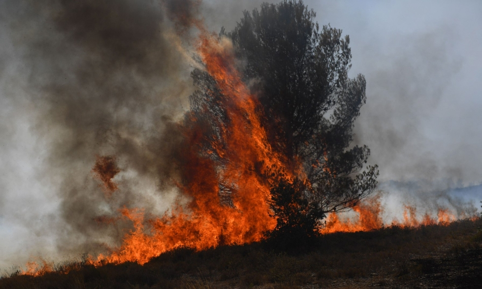Viranomaiset taistelevat pahenevia metsäpaloja vastaan Etelä-Euroopassa voimakkaan helteen kuristaessa useita maita. Kuva Ranskasta Tarascon-alueelta. LEHTIKUVA/AFP