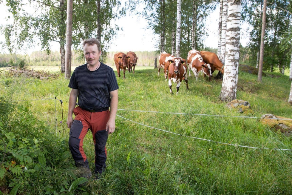 Jarkko Makkosen tilalla on oltu mukana karjantarkkailussa jo 1960-luvulta lähtien.