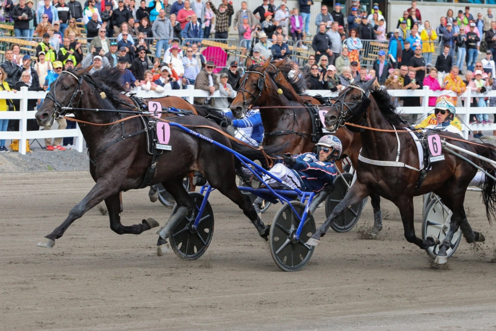 Janne Korpi ohjasti Run For Royalty -hevosen voittoon St. Michel -ajossa. LEHTIKUVA / handout / Suomen Hippos / Juho Hämäläinen