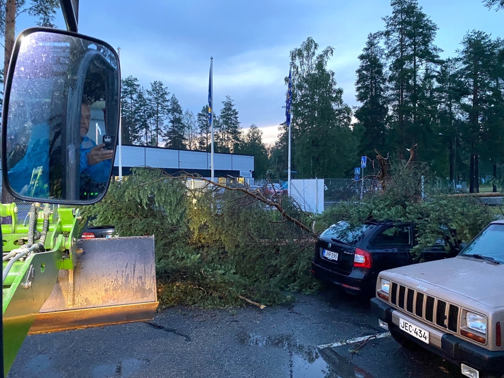 Kaupungin tontilta kaatui tiistain myrskyssä mänty Fixus center Joensuun aidan yli kahden auton päälle.
