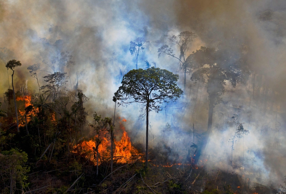 Asiantuntijoiden mukaan sademetsän tulipalot ovat pääosin seurausta laittomasta maanviljelystä ja metsän raivaamisesta karjapelloiksi. LEHTIKUVA/AFP